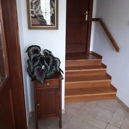 Vidin Raj * Vremski Britof