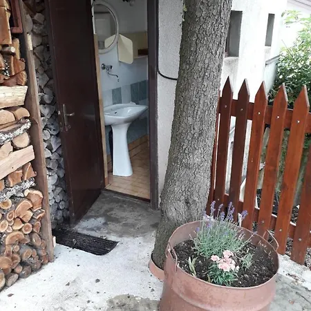 Vidin Raj * Vremski Britof