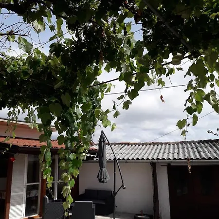 Vidin Raj アパート Vremski Britof