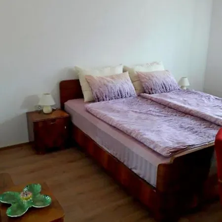 Vida's - Coast - Skocjan Caves - Free Parking Apartman Vremski Britof