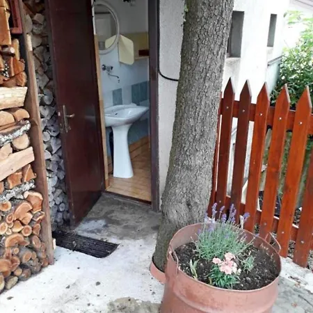 Vida's - Coast - Skocjan Caves - Free Parking Apartman Vremski Britof