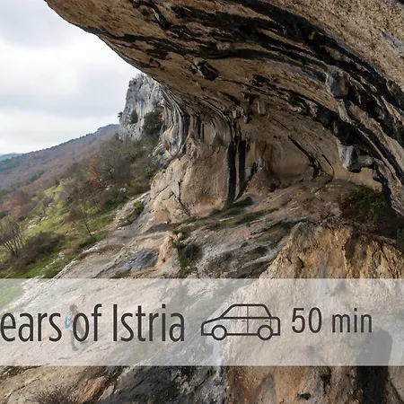 Vida's - Coast - Skocjan Caves - Free Parking Apartman Vremski Britof