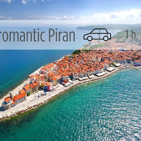 Vida's - Coast - Skocjan Caves - Free Parking Apartman Vremski Britof