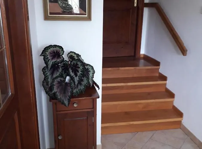 Vidin Raj * Vremski Britof