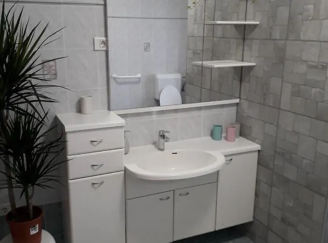 Vidin Raj Daire Vremski Britof