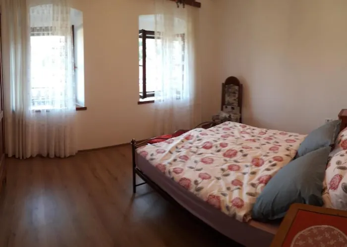 Daire Vidin Raj Vremski Britof