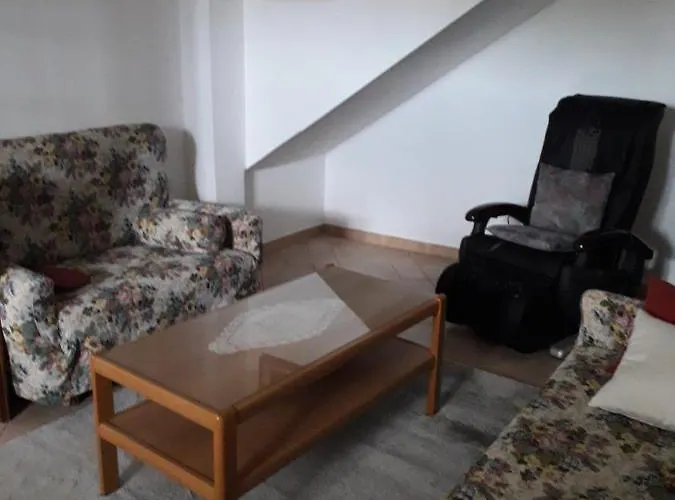 Vidin Raj Vremski Britof