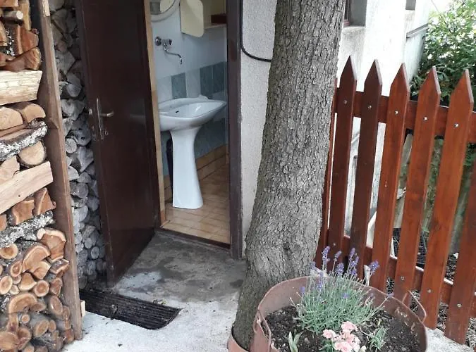 Vidin Raj * Vremski Britof