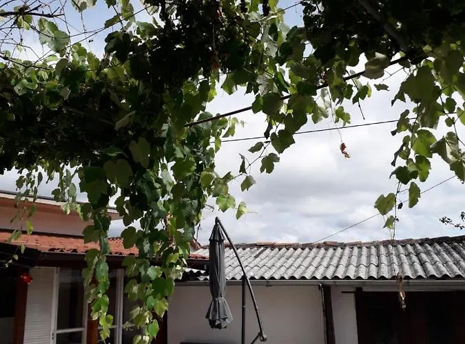 Vidin Raj Daire Vremski Britof