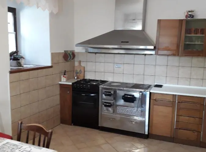 Vidin Raj Vremski Britof